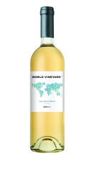 French_Sauvignon_Blanc.jpg